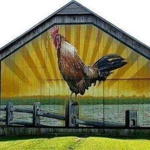 Meet your Posher, Gail